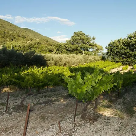 Mas Provencal La Serallere Au Coeur Des Oliviers Venterol  Buitenkant foto