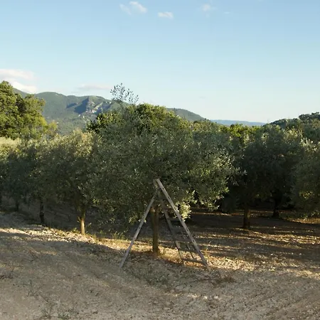 Mas Provencal La Serallere Au Coeur Des Oliviers Venterol  Buitenkant foto