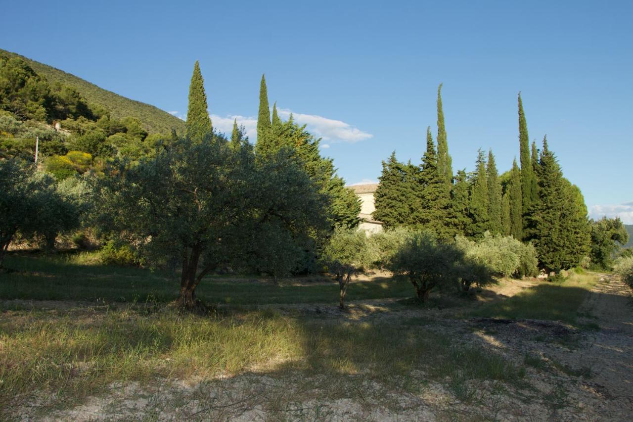 Mas Provencal La Serallere Au Coeur Des Oliviers