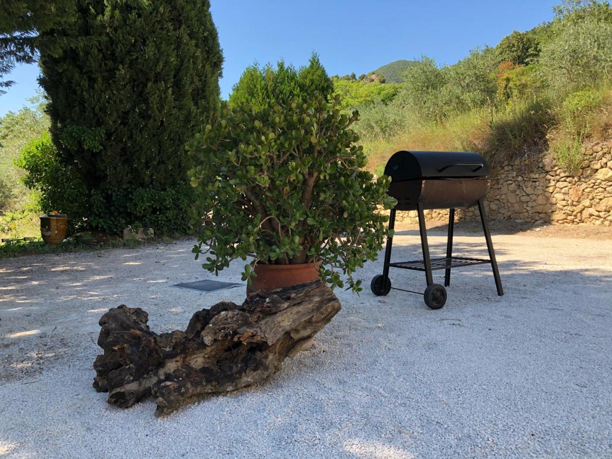 Mas Provencal La Serallere Au Coeur Des Oliviers Apartment